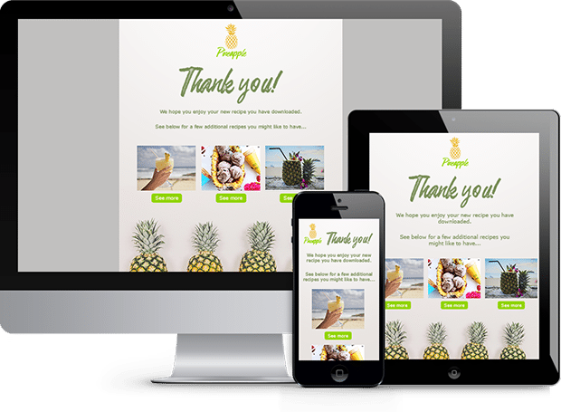Landing Pages | ResponsiveDesign Everlytic Optimise for every device | Responsive Templates | Landing Pages | Everlytic | South Africa | Devices
