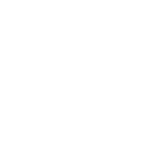 Voice Broadcasting Icon | Everlytic | SMS | Email | Communication Software