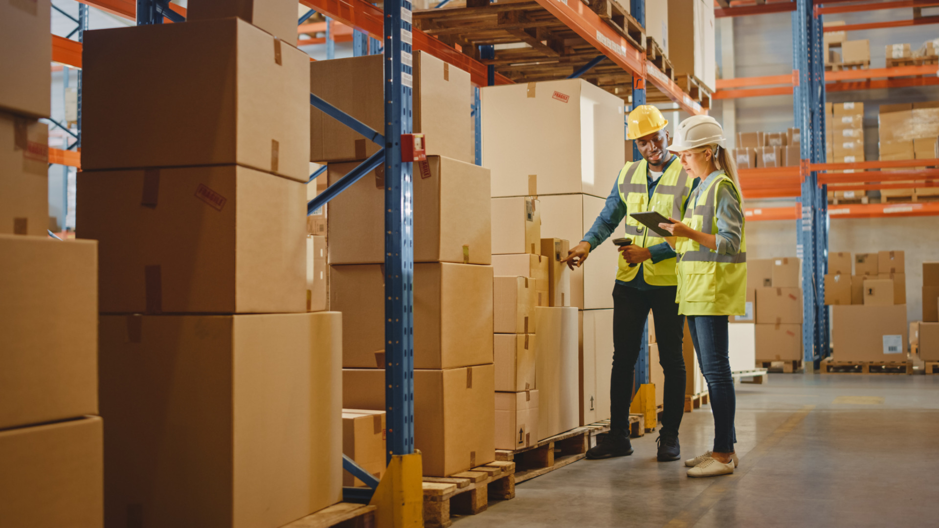 AdobeStock 390578285 scaled | Everlytic | Industries