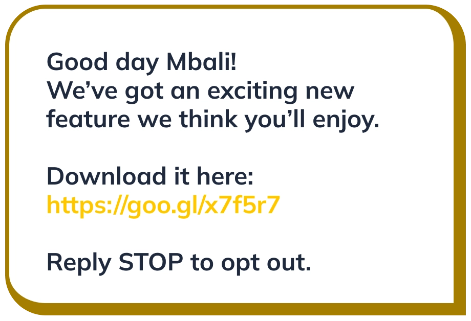 everlytic sms marketing